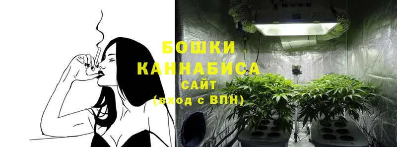 Каннабис Bruce Banner  Аткарск 